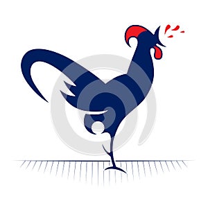 Rooster redneck icon photo