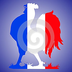 Rooster silhouette with french flag colors, France, national symbol