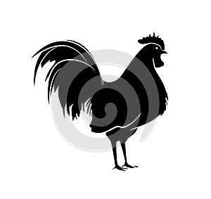 Rooster Silhouette Vector