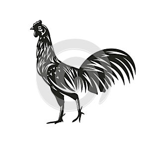 Rooster silhouette vector illustration