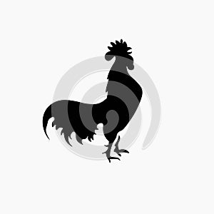 rooster