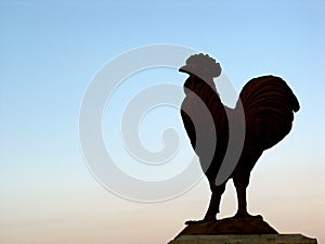 Rooster Statuary at Sunset