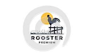 Rooster with sunset  silhouette logo vector illustration design