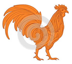 Rooster, symbol of 2017 New Year.