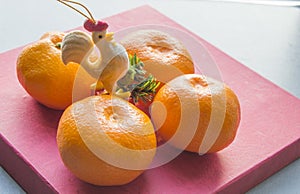 Rooster - a symbol of the Chinese New year and tangerines