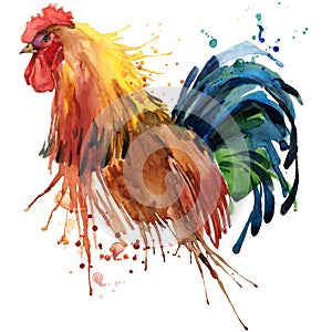 Rooster T-shirt graphics, rooster illustration with splash watercolor textured background. illustration watercolor rooster fashion