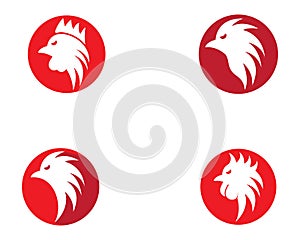 Rooster vector icon illustration design