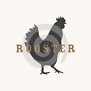 Rooster vector Illustration. Hen silhouette