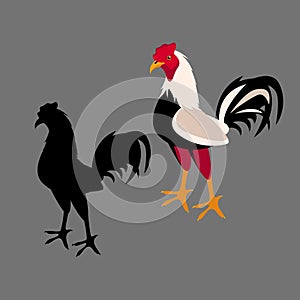 rooster vector illustration silhouette