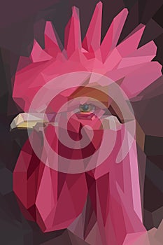Rooster with vibrant shades of red in crown and wattles