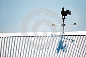 Rooster Weather Vane