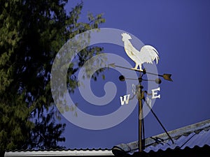Rooster weather vane to indicate the wind direction.