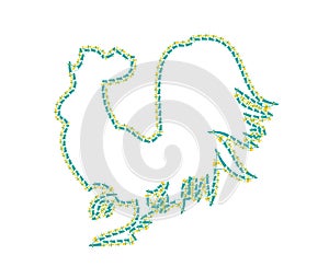 Rooster on the white background is crowing