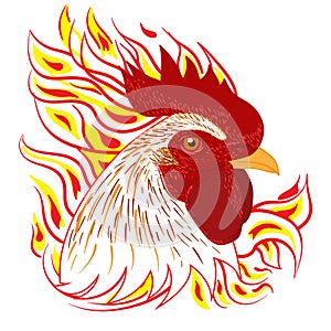 Rooster white fire head face