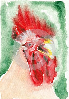 Roosterl closeup artwork portrait. Watercolor hand drawn on watercolour paper texture