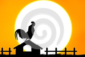 Roosters crow stand on housetop