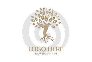 Root Abstract Hummingbird Tree Logo