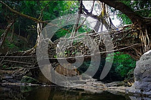 Root bridge Shillong Double Decker