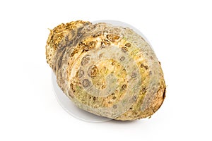 Root celery, isolated on white background