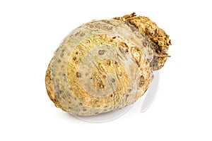 Root celery, isolated on white background