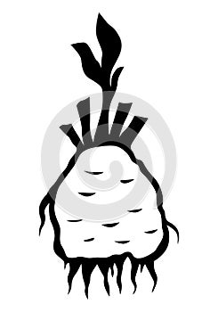Root celery silhouette icon