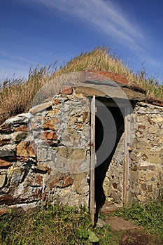 Root Cellar