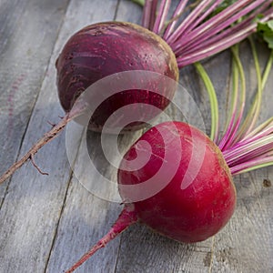 Root crops of two varieties of beets on a wooden old table