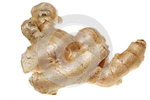 Root ginger on a white background