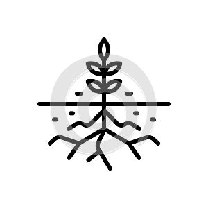 Black line icon for Root, rootlet and sprout
