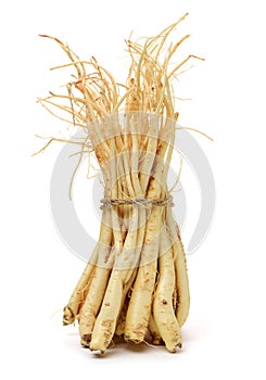 Root of Korean Bellflower Platycodon grandiflorus commonly known as Doraji