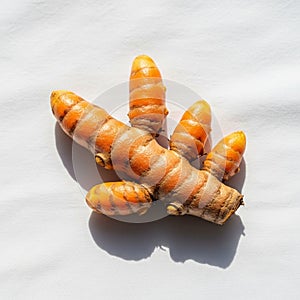 Root and the plain background highlights its distinctive texture