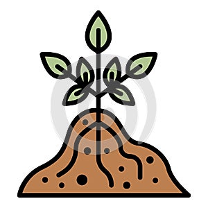 Root plant icon color outline vector