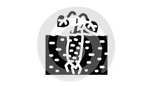 root plant wasabi glyph icon animation