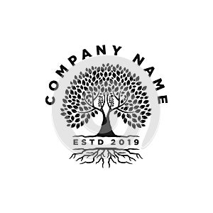 Root Of The Tree Logo Design Inspiration