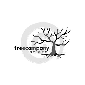 Root Of The Tree Logo Design Inspiration