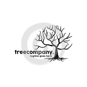 Root Of The Tree Logo Design Inspiration