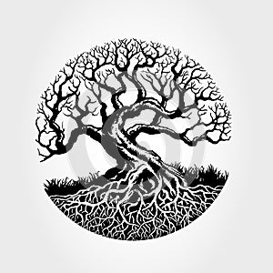 Root Of The Tree vector illustration.