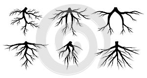 Root vector set isolated on white background. Tree roots system silhouettes collection. Underground growing fibrous structure.