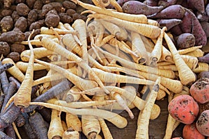 Root vegetables displayed together on a wooden table