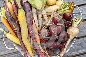 Root vegetables from the garden