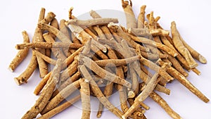 Root Withania somnifera, known commonly as ashwagandha, Indian ginseng, poison gooseberry or winter cherry