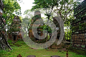 ROOTS COVERING THE Temple IN Koh Ker. Cambodia