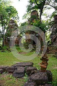 ROOTS COVERING THE Temple IN Koh Ker. Cambodia