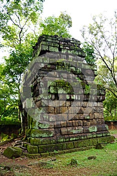 ROOTS COVERING THE Temple IN Koh Ker, Cambodia