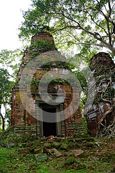 ROOTS COVERING THE Temple IN Koh Ker, Cambodia