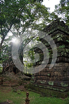 ROOTS COVERING THE Temple IN Koh Ker, Cambodia