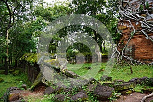 ROOTS COVERING THE Temple IN Koh Ker, Cambodia