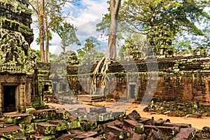 Roots of a giant tree growing over the ancient ruins of Ta Prohm temple in Angkor Wat, Siem Reap, Cambodia