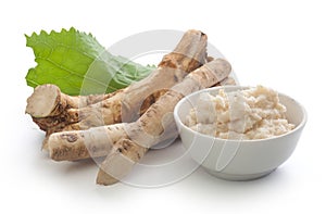 Roots of horseradish photo