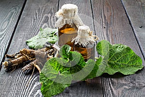 Roots and leaves of burdock Arctium lappa, burdock oil in bott